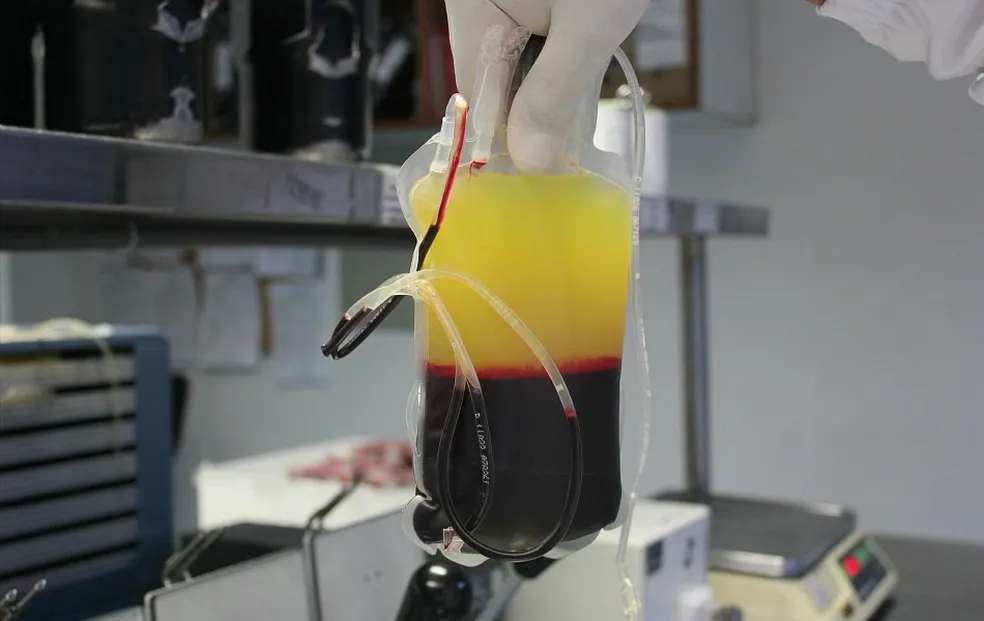 Senado aprova PEC que autoriza venda de plasma sanguíneo