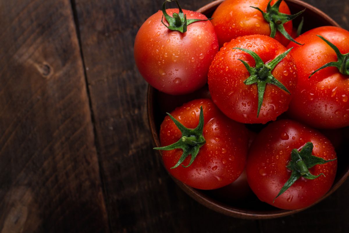 Curinga no cardápio, tomate é nutritivo e traz vários benefícios à saúde