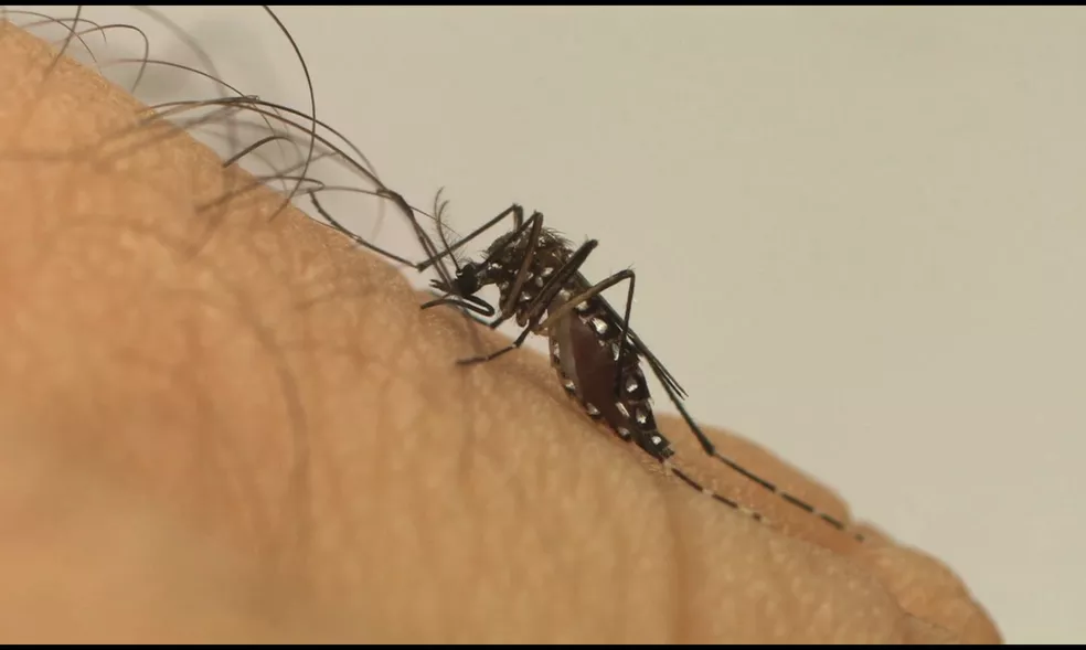 Saúde divulga boletim de chikungunya, dengue e zika na Paraíba
